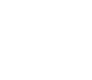 Princess Camp Icon