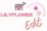 Platinum Sponsor Lily Flower Photographer